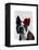 Boston Terrier with Rose on Head-Fab Funky-Framed Stretched Canvas