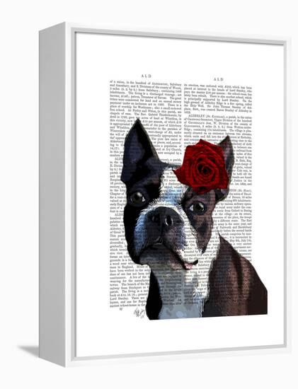 Boston Terrier with Rose on Head-Fab Funky-Framed Stretched Canvas