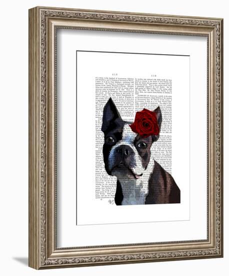 Boston Terrier with Rose on Head-Fab Funky-Framed Art Print