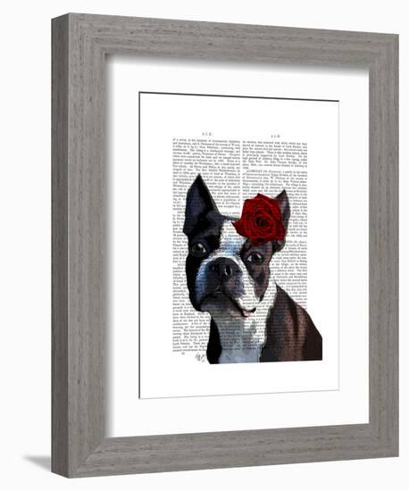 Boston Terrier with Rose on Head-Fab Funky-Framed Art Print