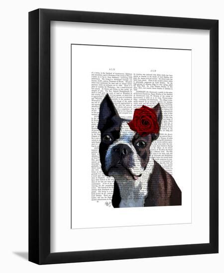 Boston Terrier with Rose on Head-Fab Funky-Framed Art Print