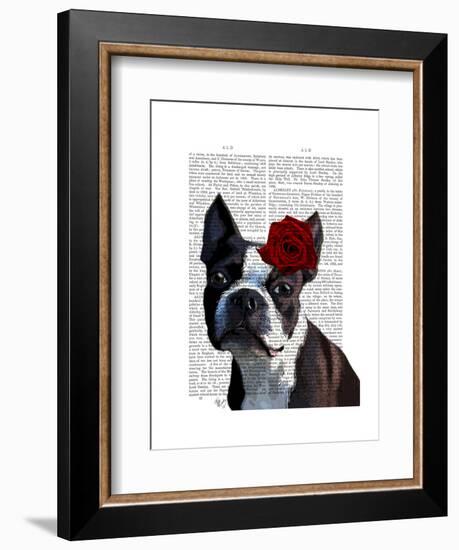 Boston Terrier with Rose on Head-Fab Funky-Framed Art Print