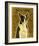 Boston Terrier-John Golden-Framed Art Print