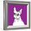 Boston Terrier-Anna Nyberg-Framed Art Print