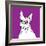 Boston Terrier-Anna Nyberg-Framed Art Print