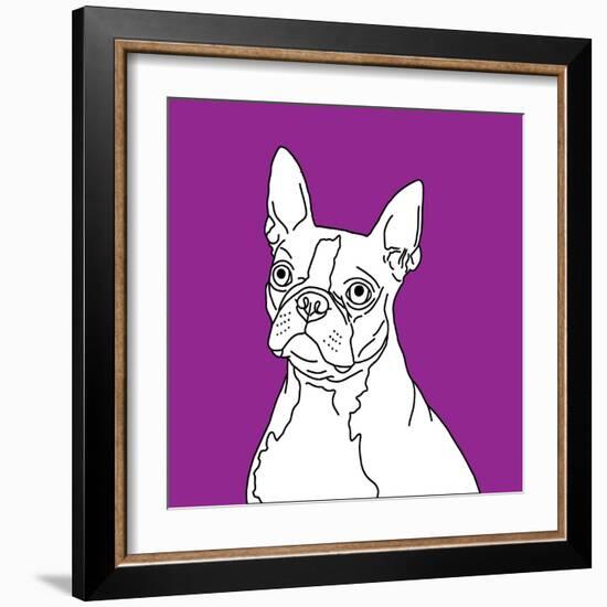 Boston Terrier-Anna Nyberg-Framed Art Print