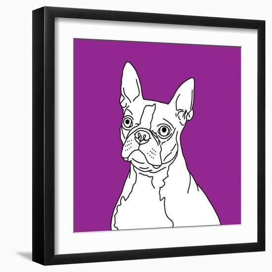 Boston Terrier-Anna Nyberg-Framed Art Print