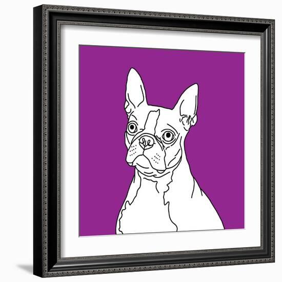 Boston Terrier-Anna Nyberg-Framed Art Print