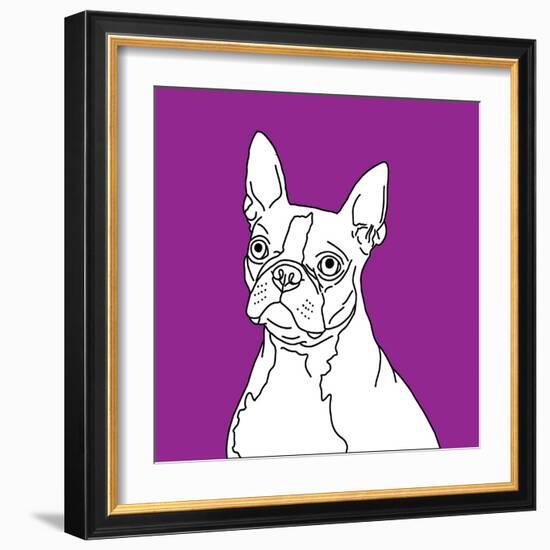 Boston Terrier-Anna Nyberg-Framed Art Print