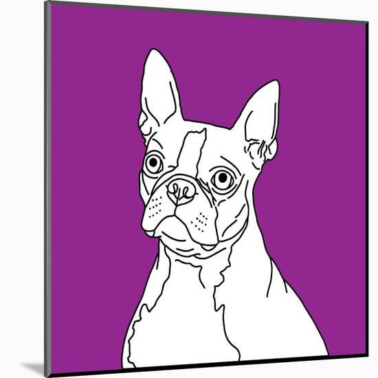 Boston Terrier-Anna Nyberg-Mounted Giclee Print