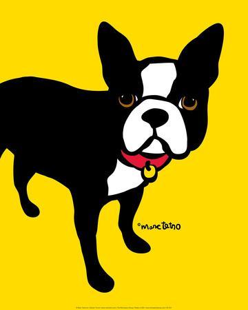 marc tetro boston terrier