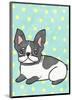 Boston Terrier-My Zoetrope-Mounted Art Print