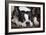 Boston Terrier-null-Framed Photographic Print