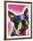 Boston Terrier-Dean Russo-Framed Premium Giclee Print