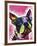 Boston Terrier-Dean Russo-Framed Premium Giclee Print