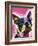 Boston Terrier-Dean Russo-Framed Giclee Print