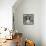 Boston Terrier-Ashley Sta Teresa-Premium Giclee Print displayed on a wall