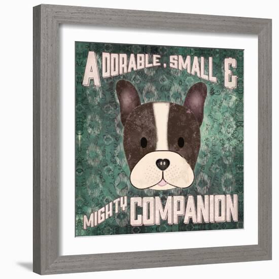 Boston Terrier-Ashley Sta Teresa-Framed Art Print