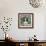 Boston Terrier-Ashley Sta Teresa-Framed Art Print displayed on a wall