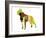 Boston Terrier-NaxArt-Framed Art Print