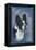 Boston Terrier-null-Framed Stretched Canvas