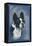 Boston Terrier-null-Framed Stretched Canvas