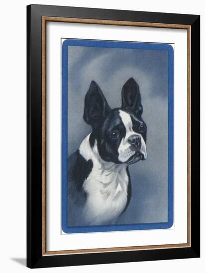 Boston Terrier-null-Framed Art Print