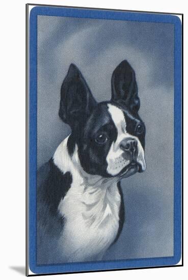 Boston Terrier-null-Mounted Art Print