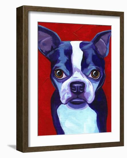 Boston Terrier-Corina St. Martin-Framed Giclee Print