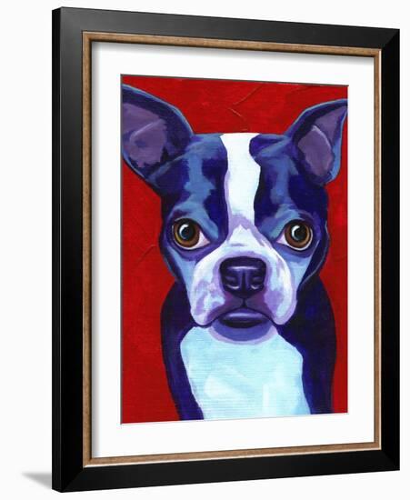 Boston Terrier-Corina St. Martin-Framed Giclee Print