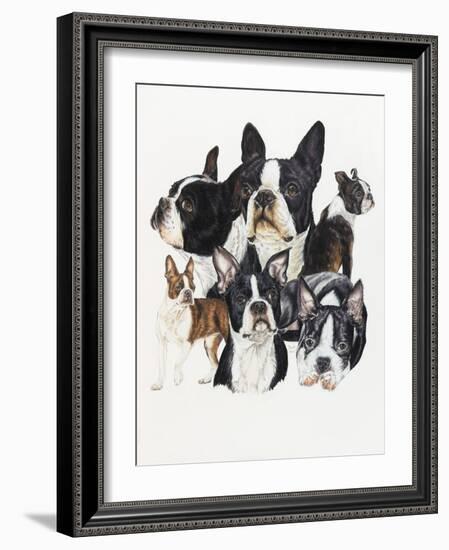 Boston Terrier-Barbara Keith-Framed Giclee Print