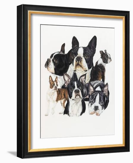 Boston Terrier-Barbara Keith-Framed Giclee Print
