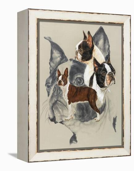 Boston Terrier-Barbara Keith-Framed Premier Image Canvas