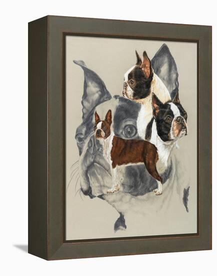 Boston Terrier-Barbara Keith-Framed Premier Image Canvas