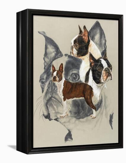 Boston Terrier-Barbara Keith-Framed Premier Image Canvas