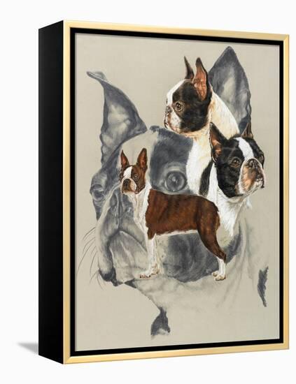 Boston Terrier-Barbara Keith-Framed Premier Image Canvas