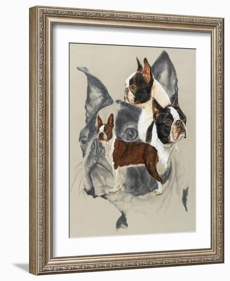 Boston Terrier-Barbara Keith-Framed Giclee Print