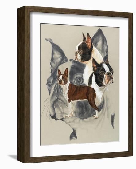 Boston Terrier-Barbara Keith-Framed Giclee Print