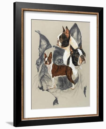 Boston Terrier-Barbara Keith-Framed Giclee Print