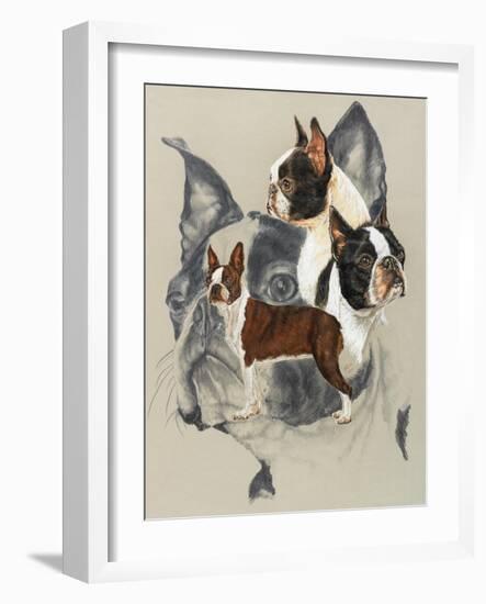 Boston Terrier-Barbara Keith-Framed Giclee Print