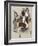 Boston Terrier-Barbara Keith-Framed Giclee Print