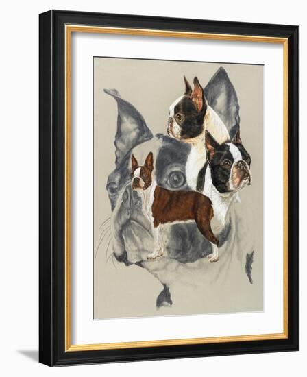 Boston Terrier-Barbara Keith-Framed Giclee Print