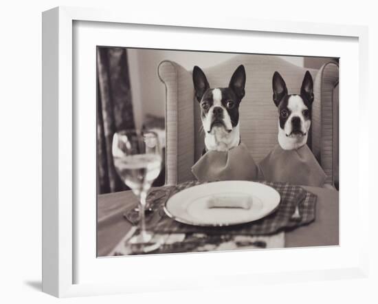 Boston Terriers Dining-Theo Westenberger-Framed Art Print