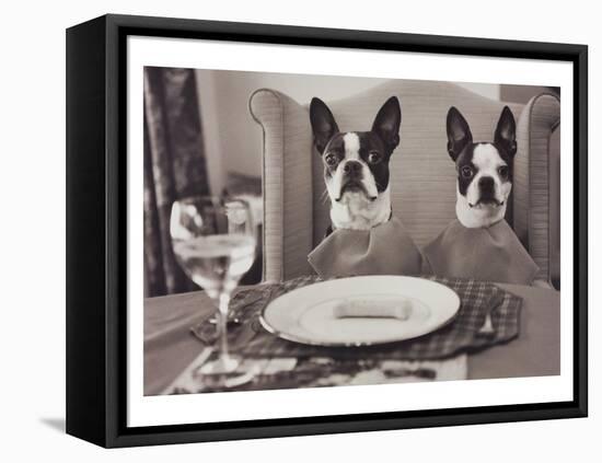 Boston Terriers Dining-Theo Westenberger-Framed Stretched Canvas