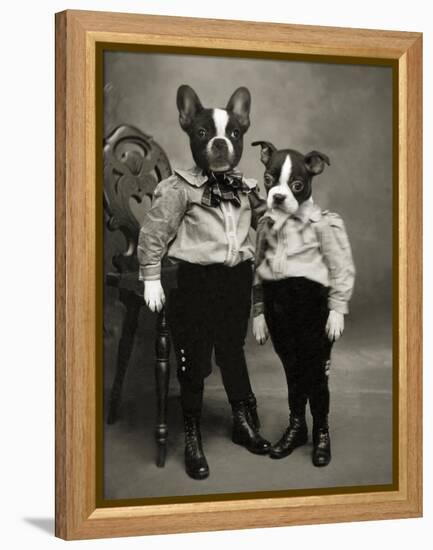 Boston Terriers-J Hovenstine Studios-Framed Premier Image Canvas