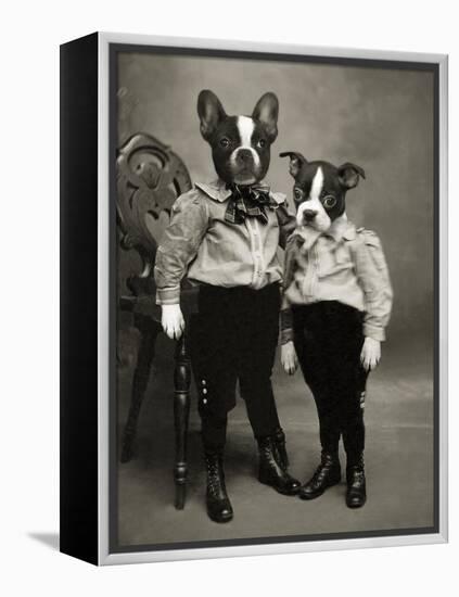 Boston Terriers-J Hovenstine Studios-Framed Premier Image Canvas