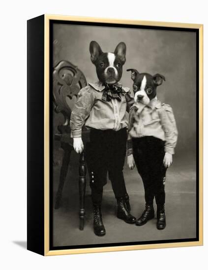 Boston Terriers-J Hovenstine Studios-Framed Premier Image Canvas