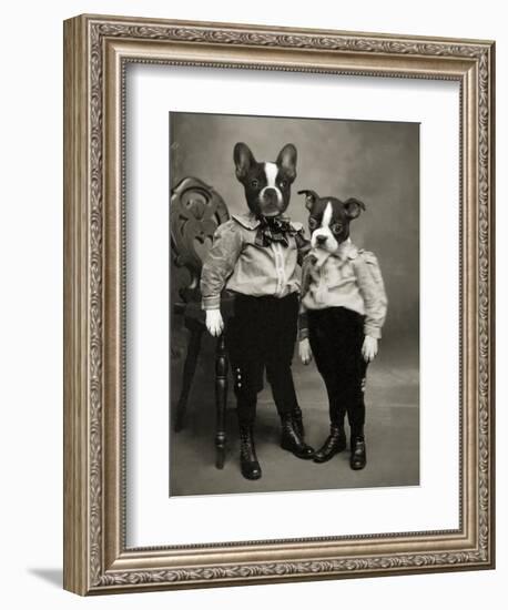 Boston Terriers-J Hovenstine Studios-Framed Giclee Print