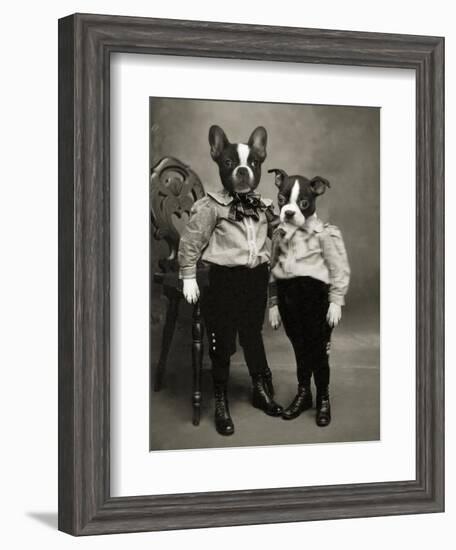 Boston Terriers-J Hovenstine Studios-Framed Giclee Print