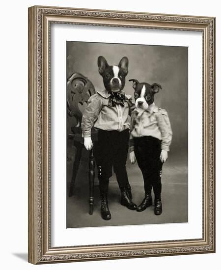 Boston Terriers-J Hovenstine Studios-Framed Giclee Print